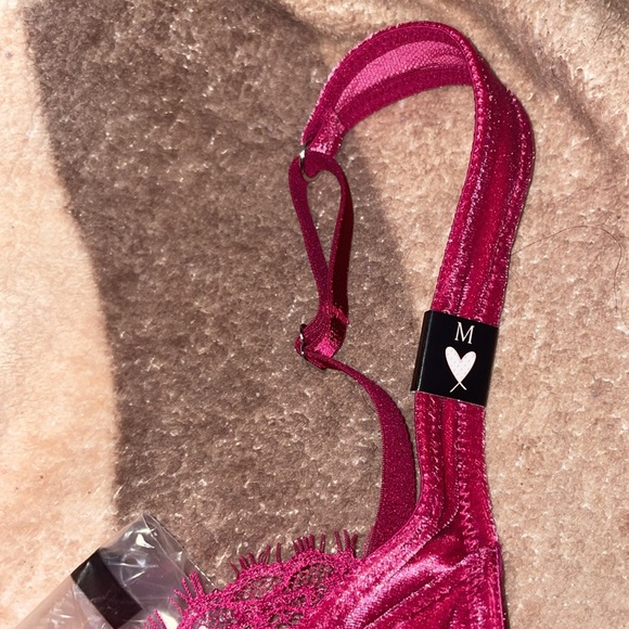 PINK x LoveShackFancy Unlined Lace-Up Corset Top - Picture 6 of 16